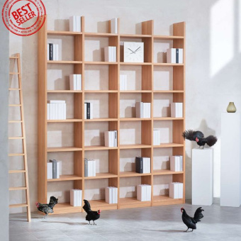 Wehry_Regale_-_Bestseller_Regal_Buche_massiv_keilgezinkt_geoelt_ml