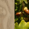 Holzart_Eiche_massiv_3
