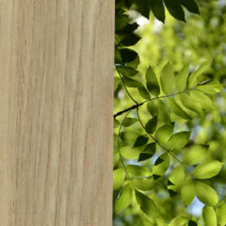 esche-massivholz-buecherwand-holzdetail Bücherwand aus Esche Massivholz natur geölt – Detailansicht Holzoberfläche